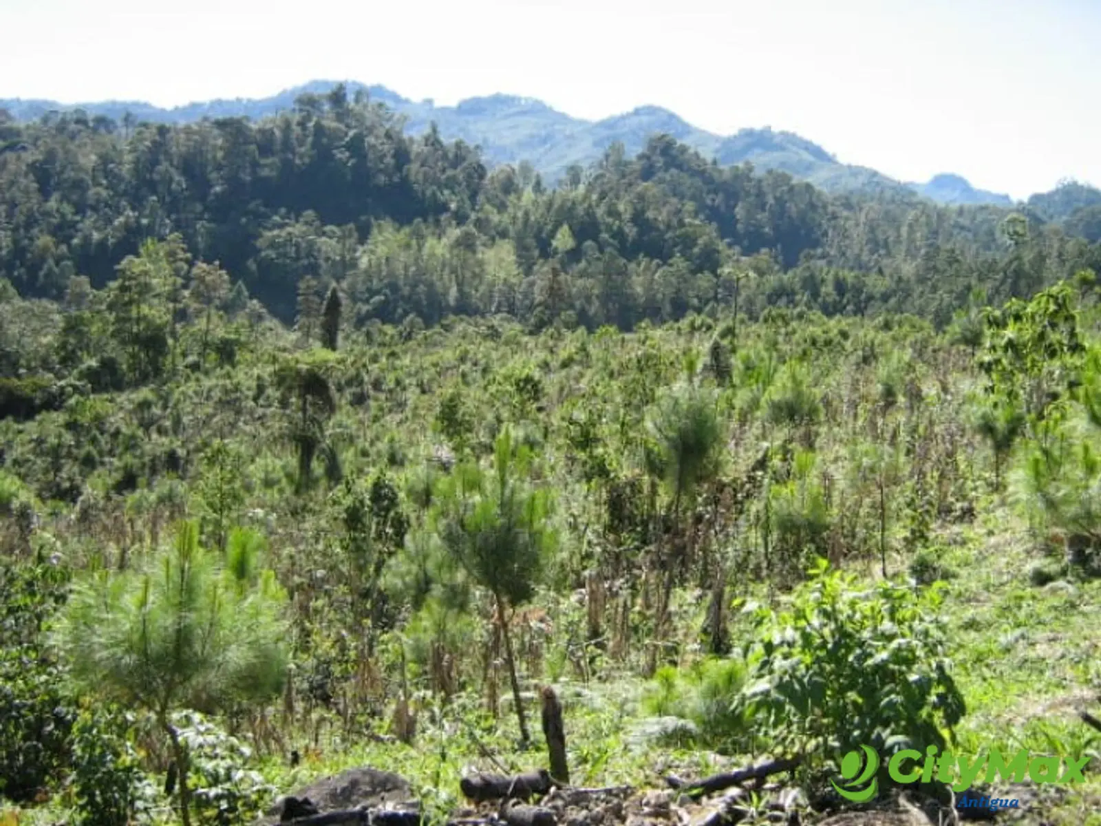 En Venta Finca San Juan Chamelco, Coban - foto 6