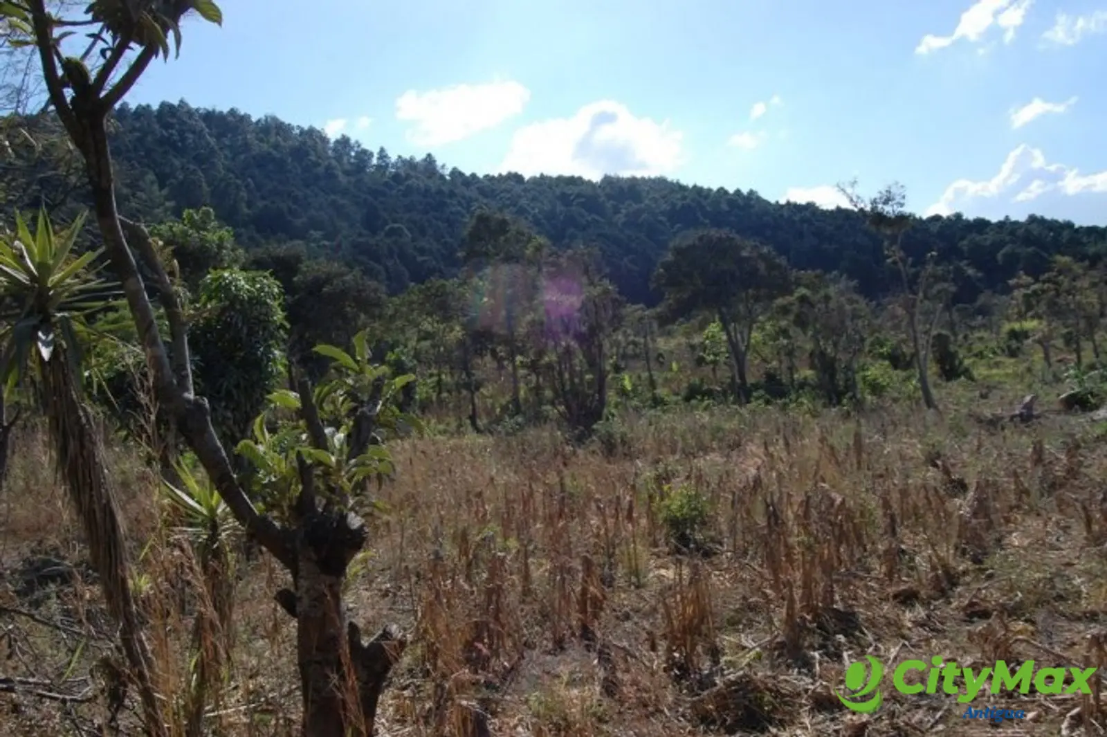 EXCELENTE FINCA EN VENTA SAN MIGUEL PETAPA SUR - foto 4