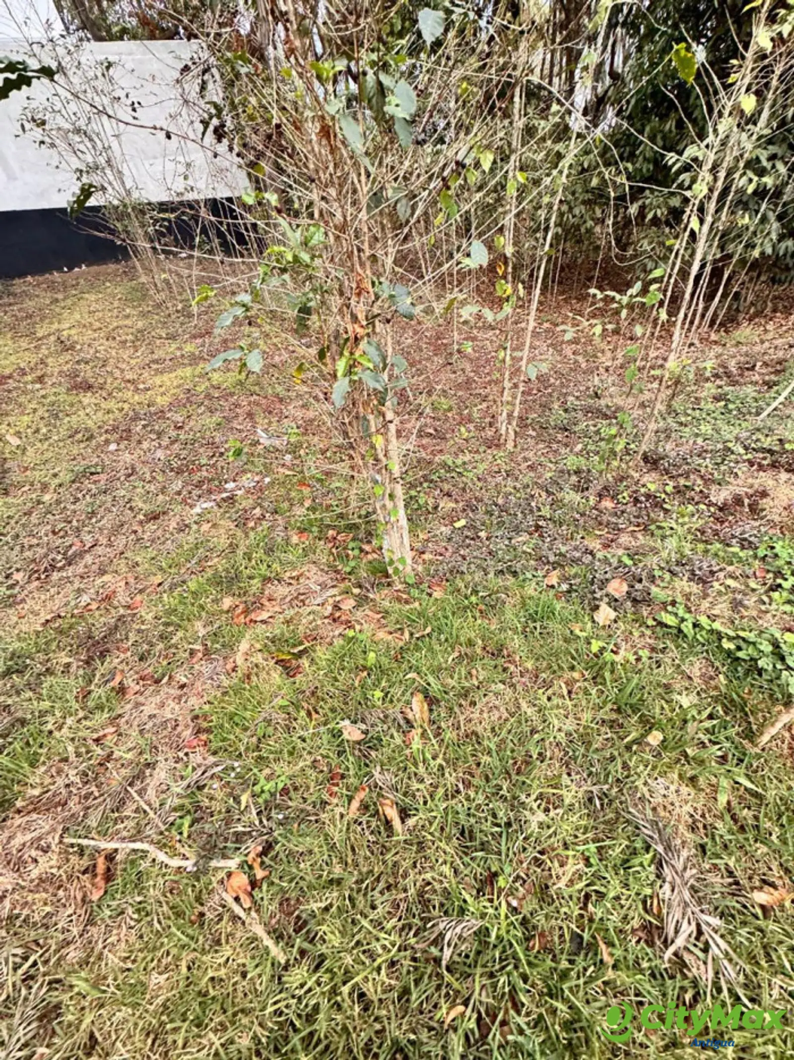 Terreno en venta en Antigua Gardens - foto 3