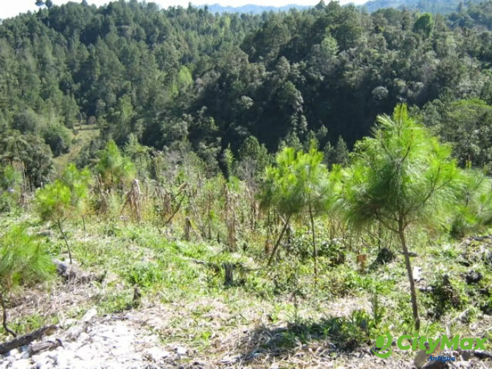 En Venta Finca San Juan Chamelco, Coban - foto 5