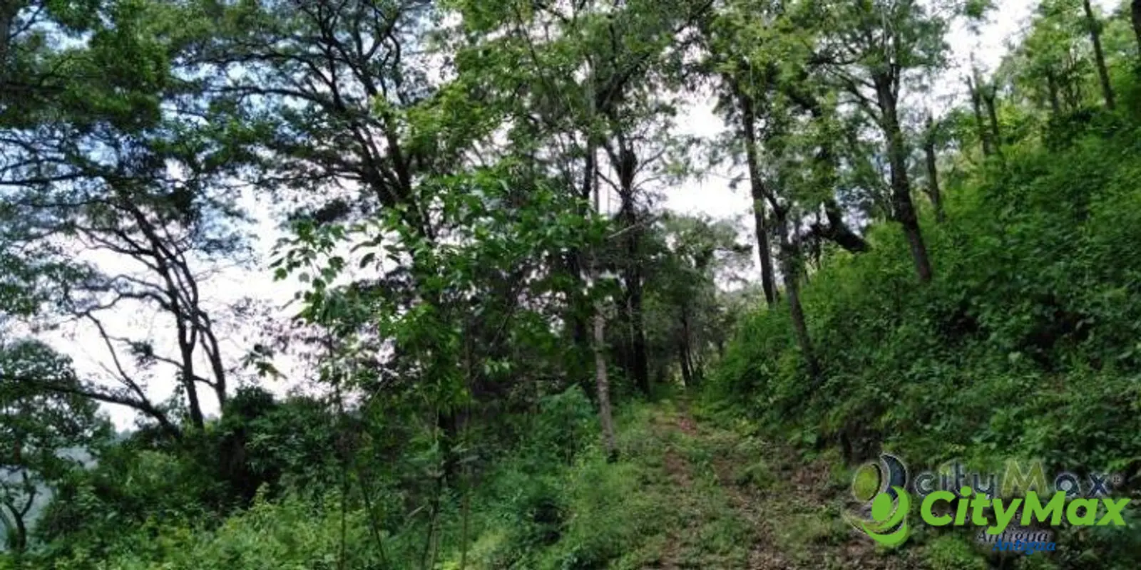 GANGA! FINCA de 19 MANZANAS en Milpas Altas - foto 6
