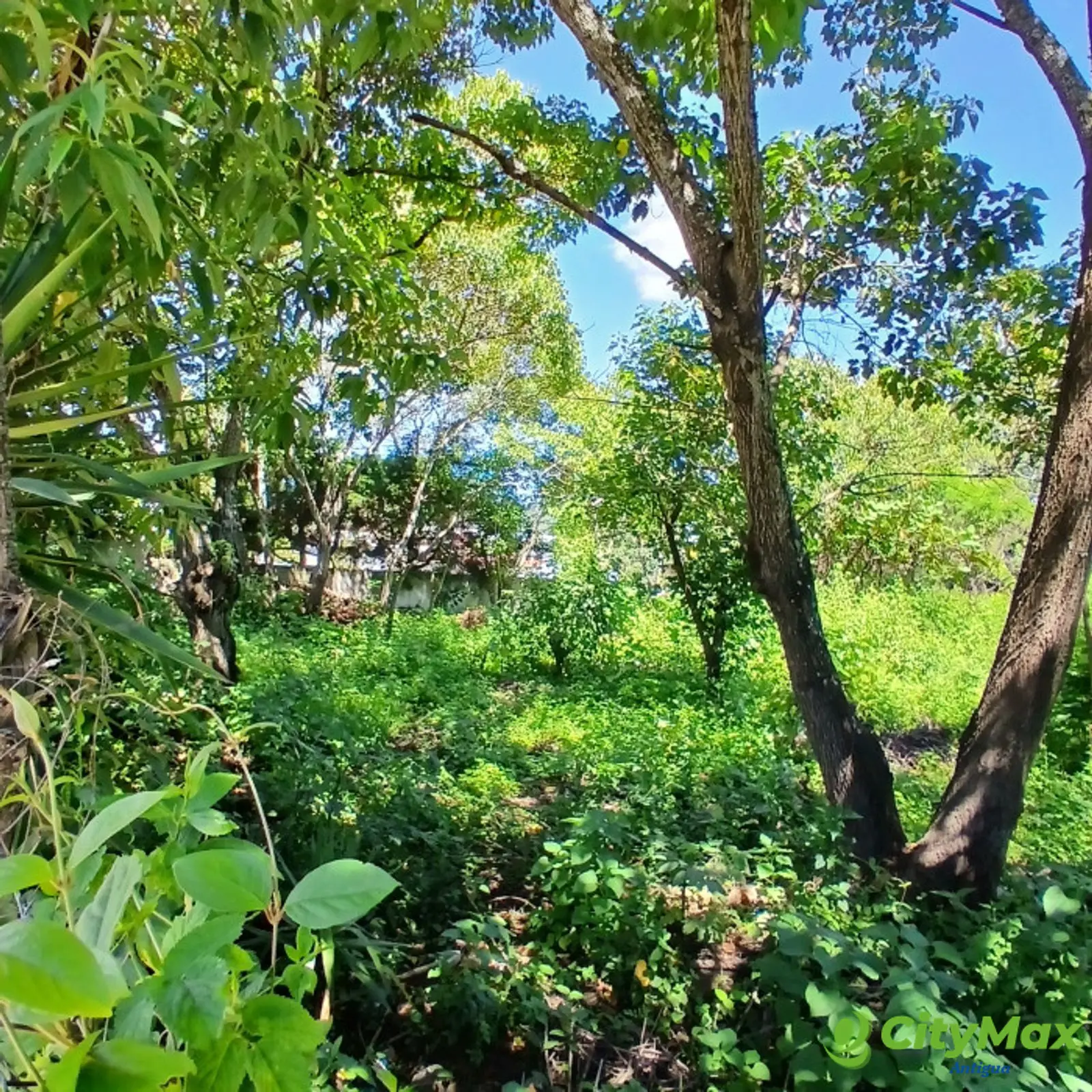 Amplio Terreno rustico en Venta, Sta Lucia Milpas Altas - foto 5