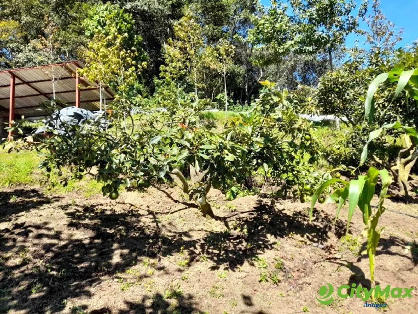 Oportunidad Propiedad En Venta Carretera a Yepocapa - foto 10