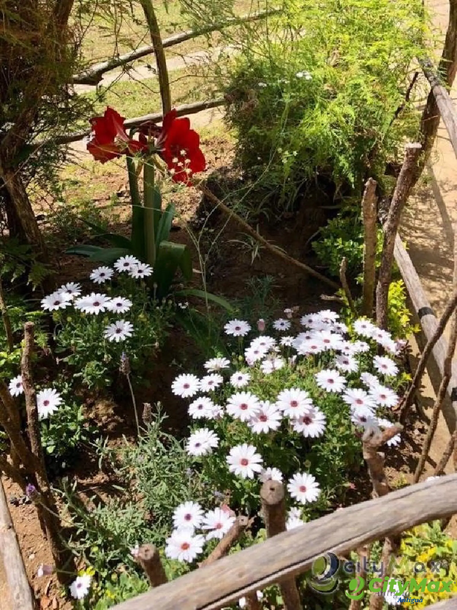 En venta Granja en La Cumbre, San Pedro Sacatepéquez - foto 17