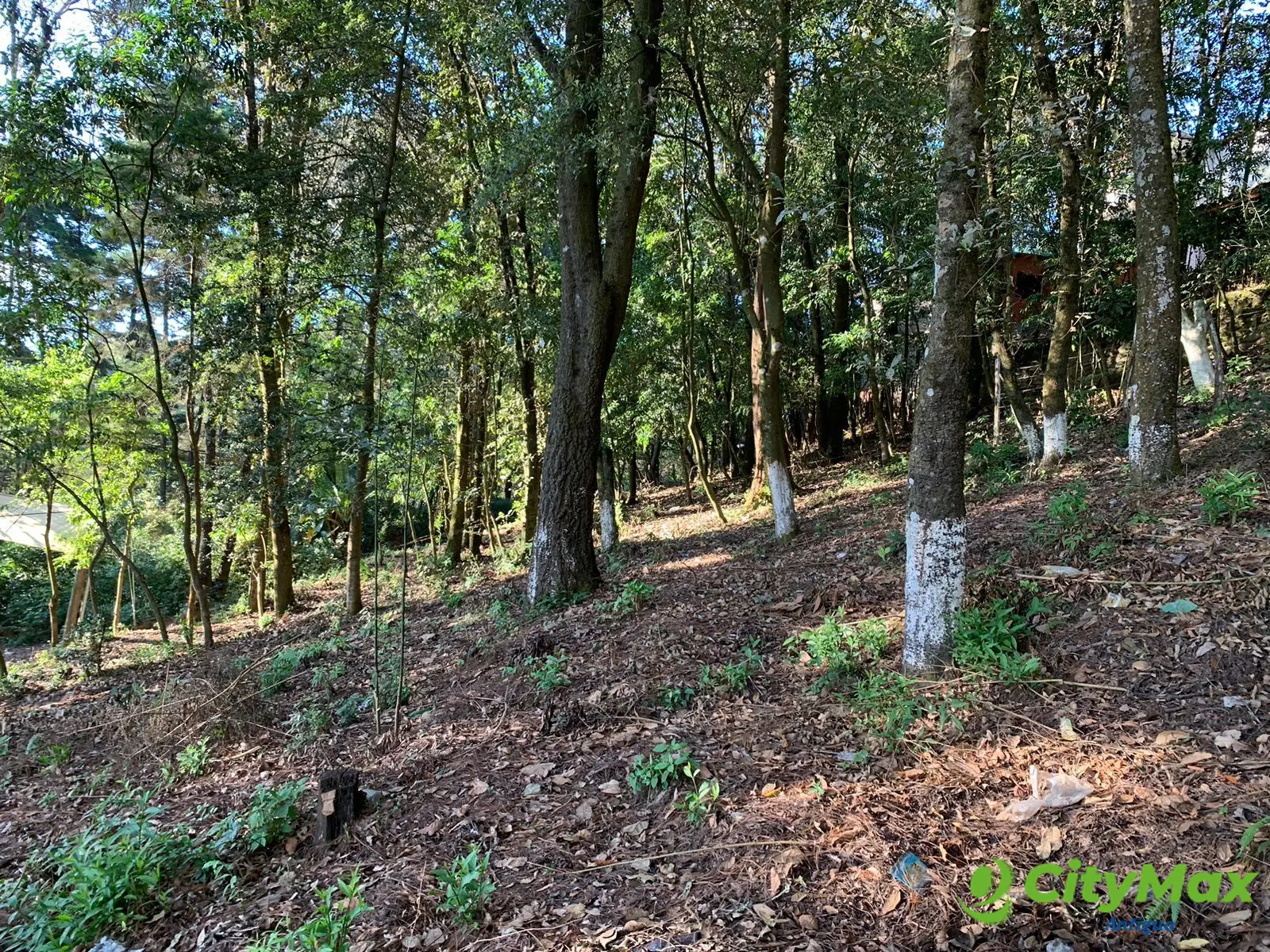se vende terreno de mas de 1/2 manzana en Choacorral - foto 3