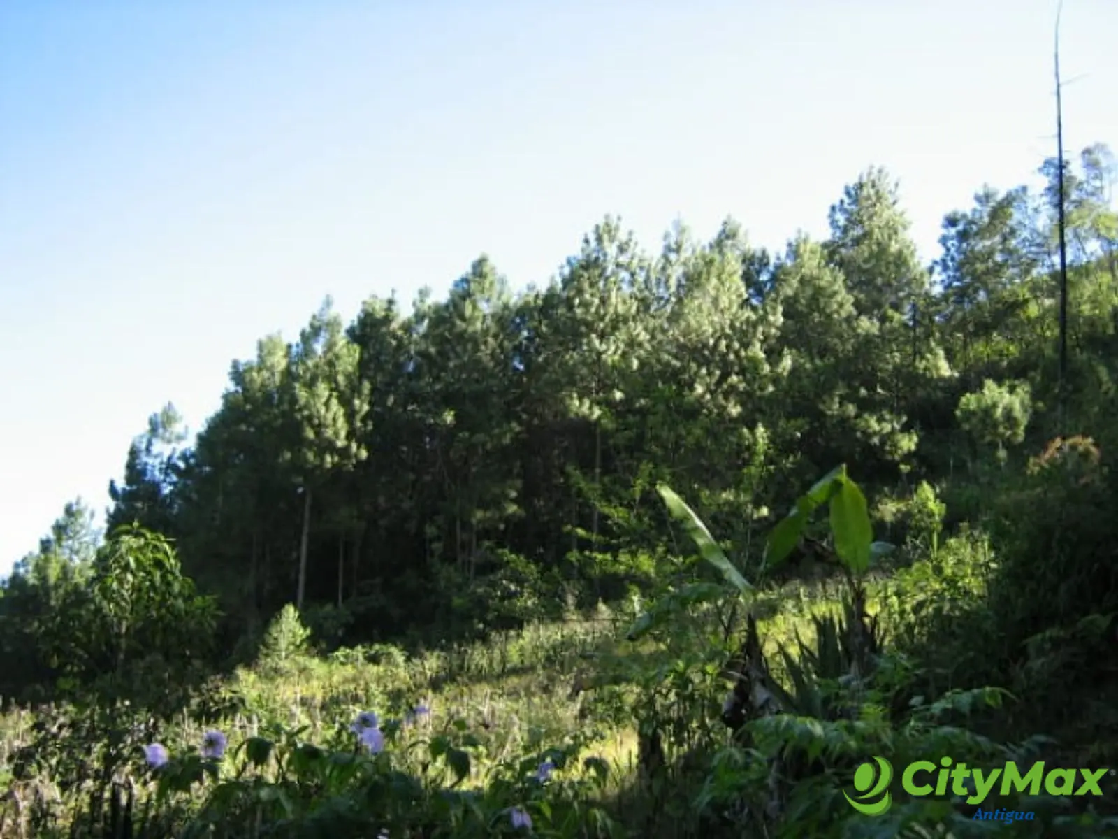 En Venta Finca San Juan Chamelco, Coban - foto 3