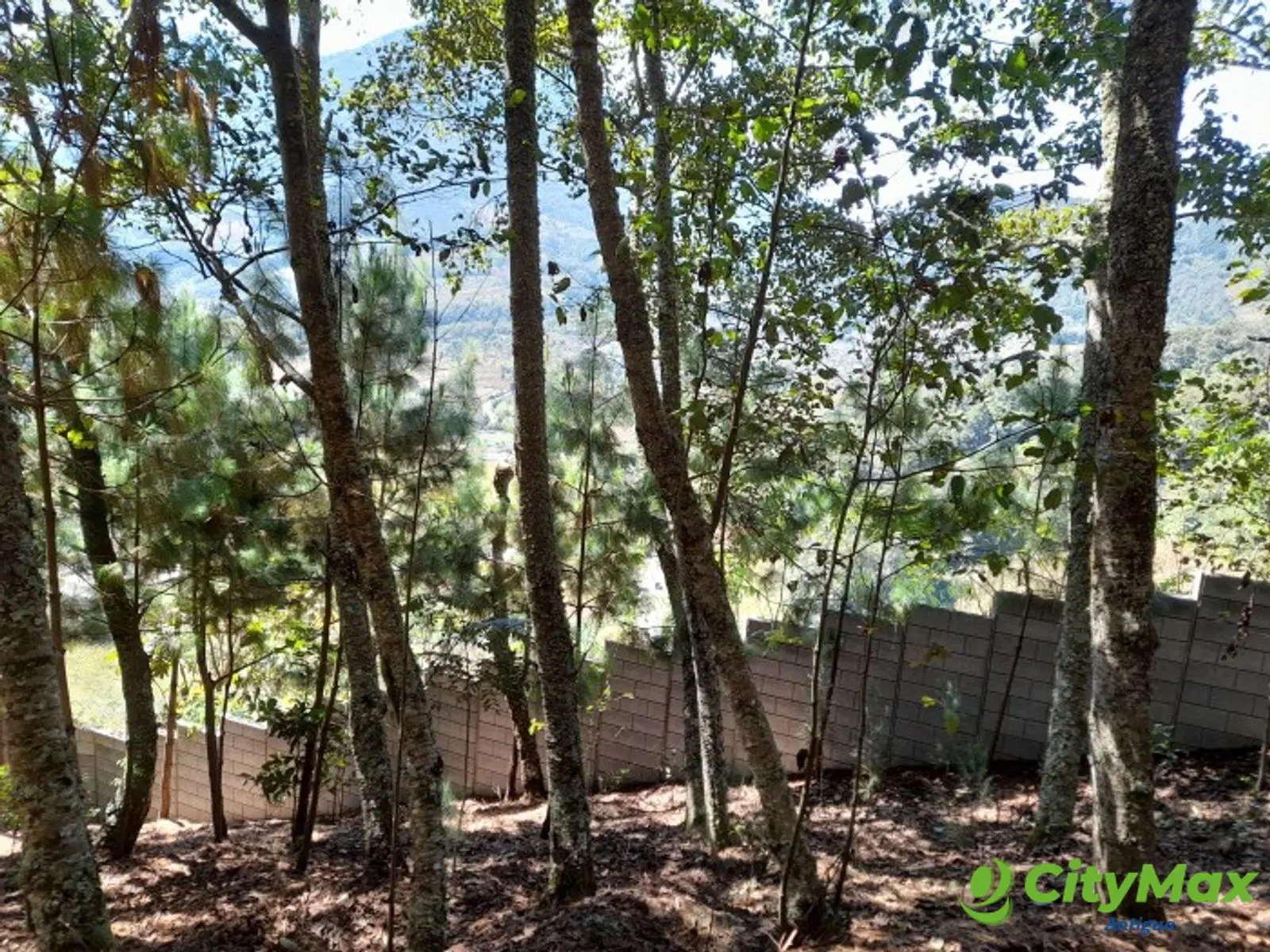 Oportunidad Propiedad En Venta Carretera a Yepocapa - foto 3