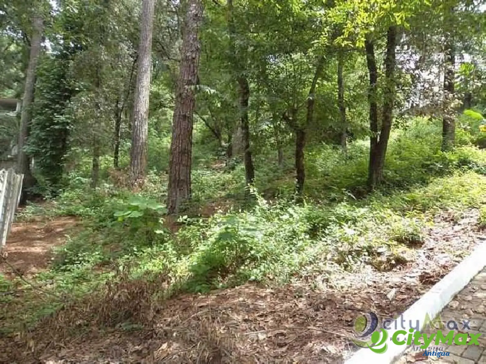 Venta de terreno en residencial cerca a San Lucas Sac. - foto 6