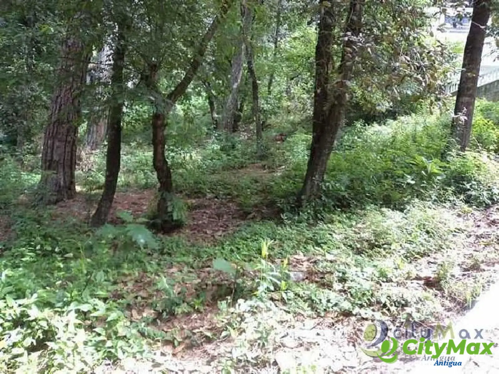 Venta de terreno en residencial cerca a San Lucas Sac. - foto 2