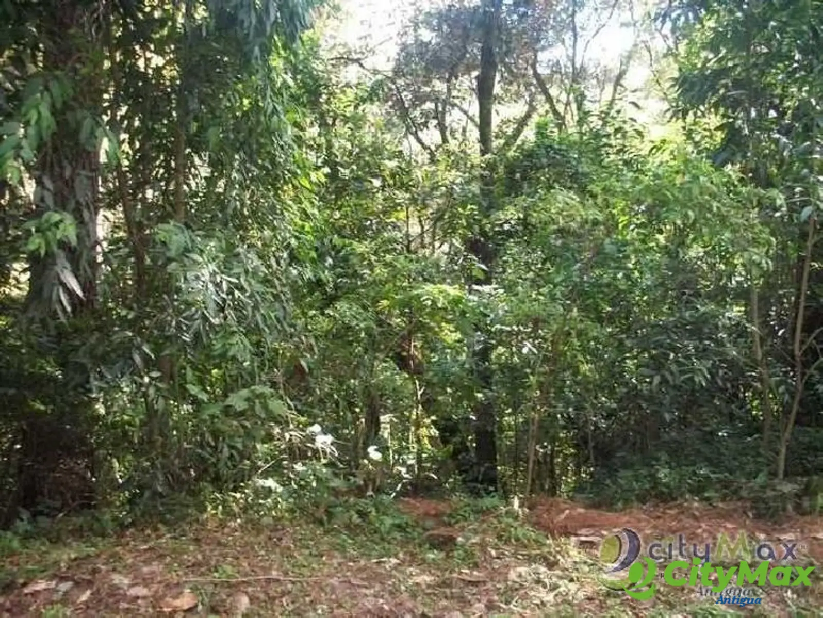 Venta de terreno en residencial cerca a San Lucas Sac. - foto 4