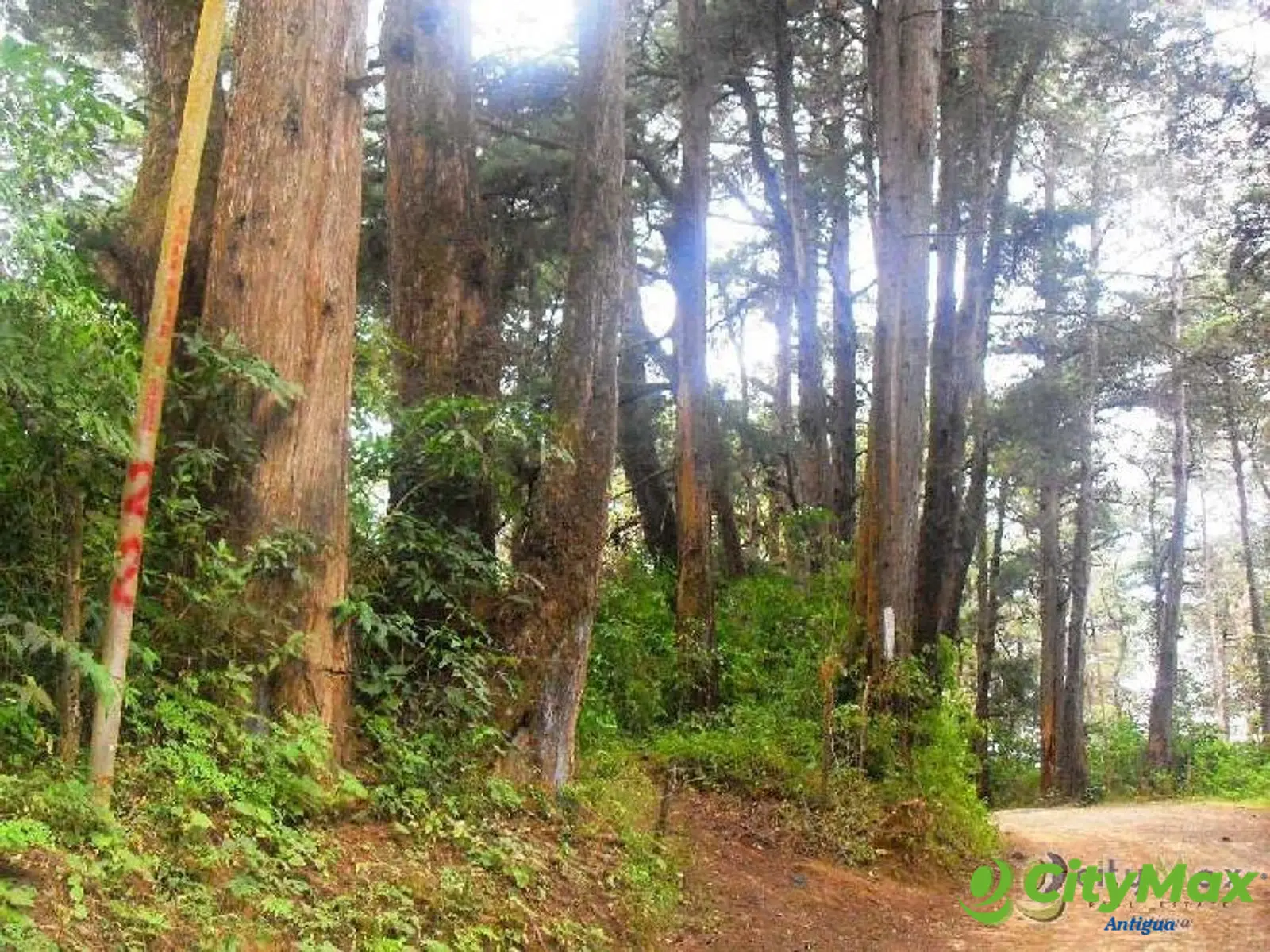 TERRENO EN RENTA EN SAN LUCAS SACATEPEQUEZ - foto 5