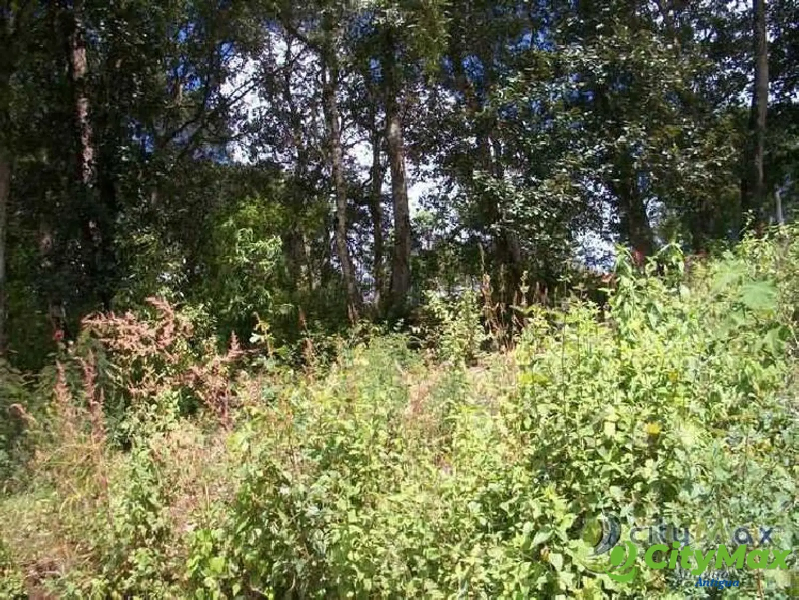Terreno en venta en Aldea Chichorin San Lucas - foto 6