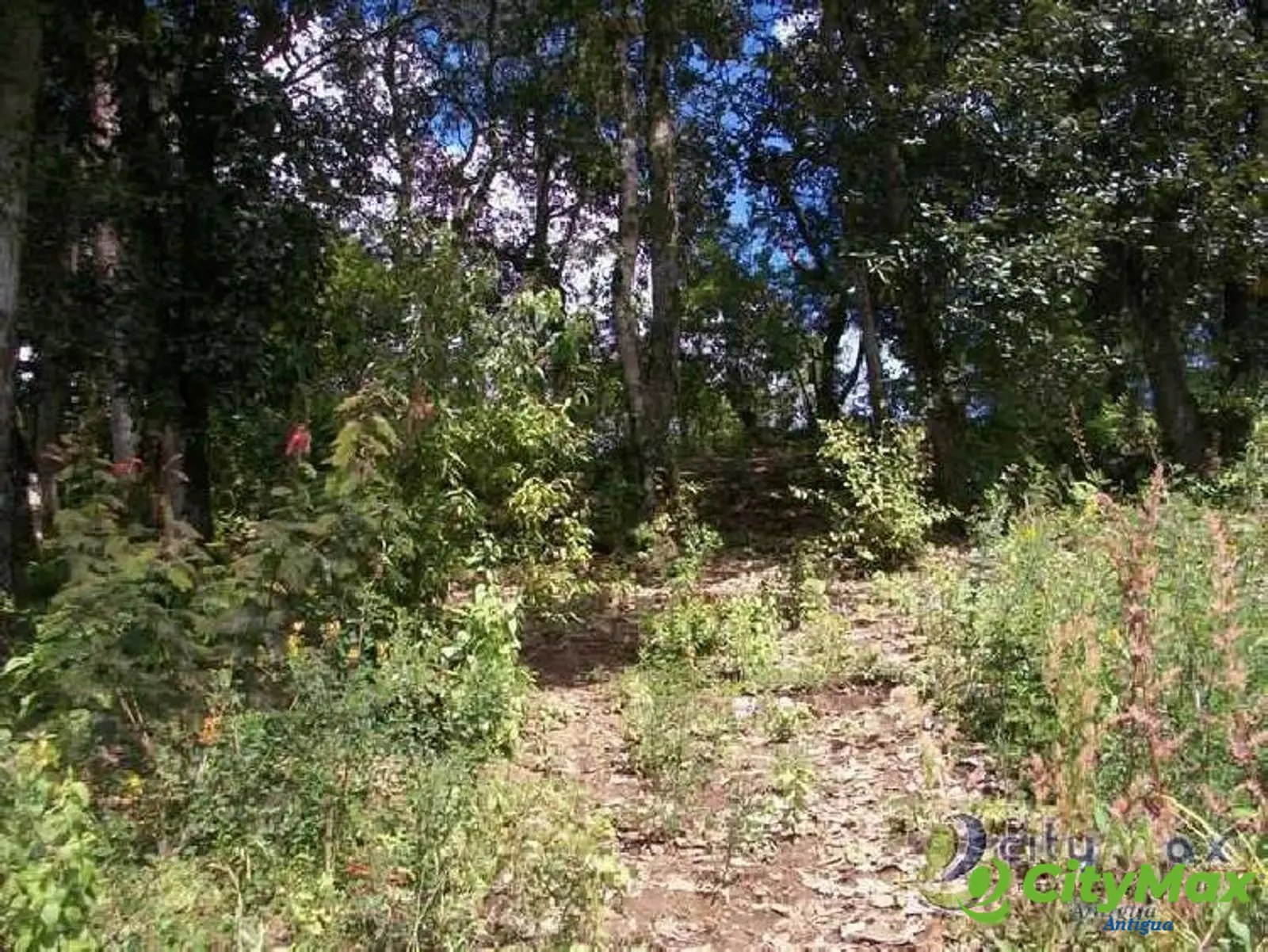 Terreno en venta en Aldea Chichorin San Lucas - foto 7