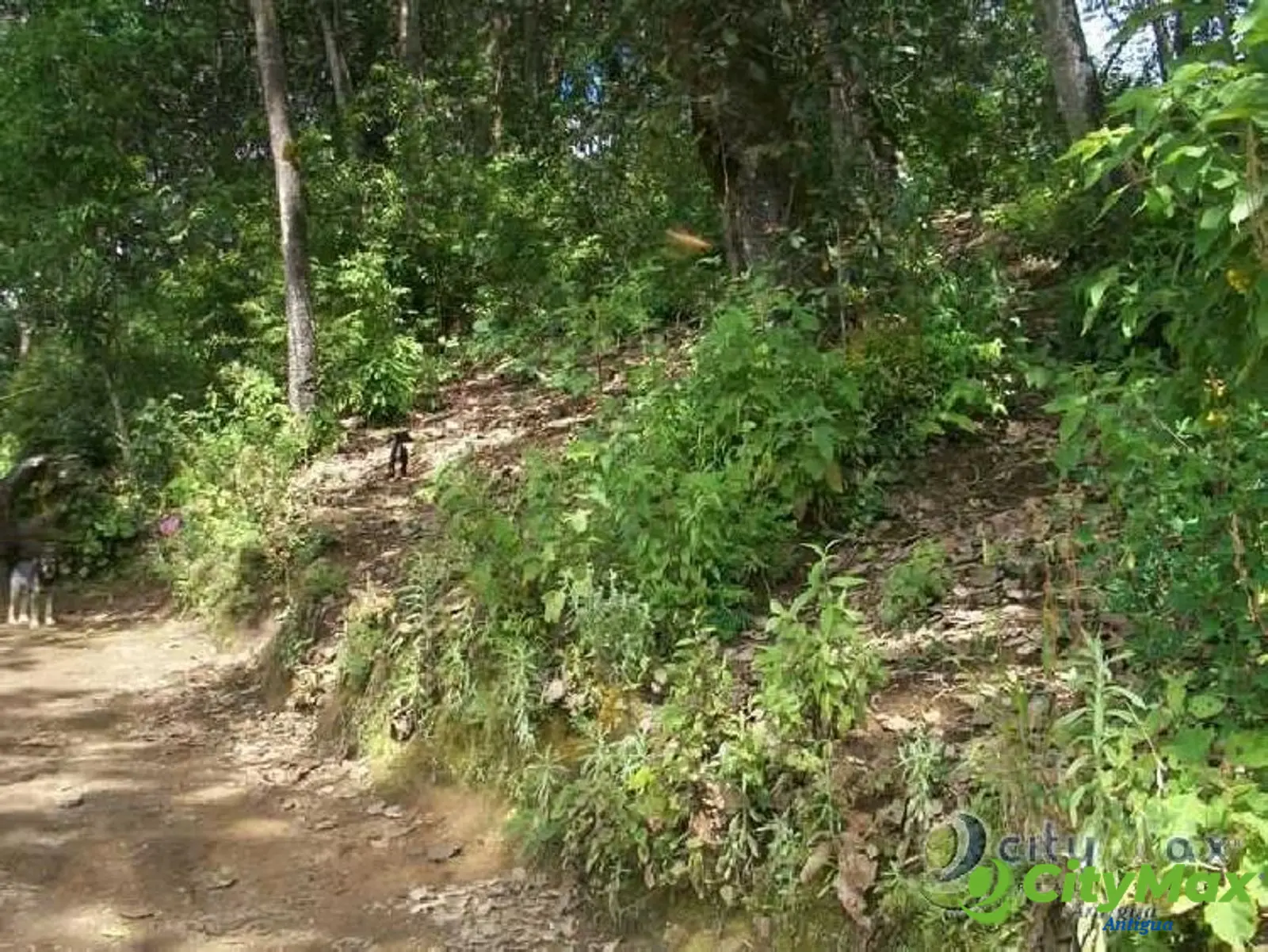 Terreno en venta en Aldea Chichorin San Lucas - foto 8