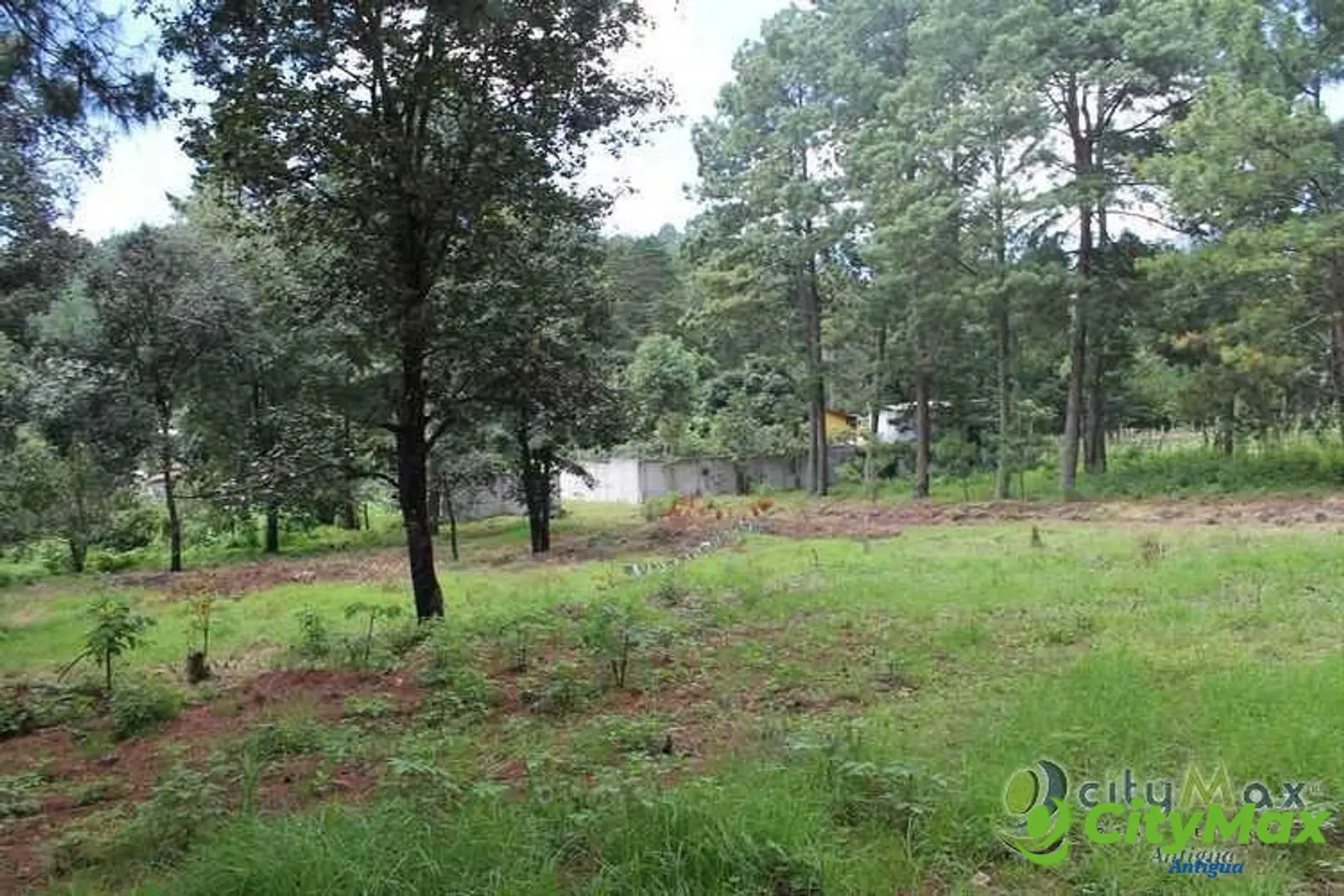 TERRENO EN VENTA EN SANTA MARIA CAUQUE - foto 6