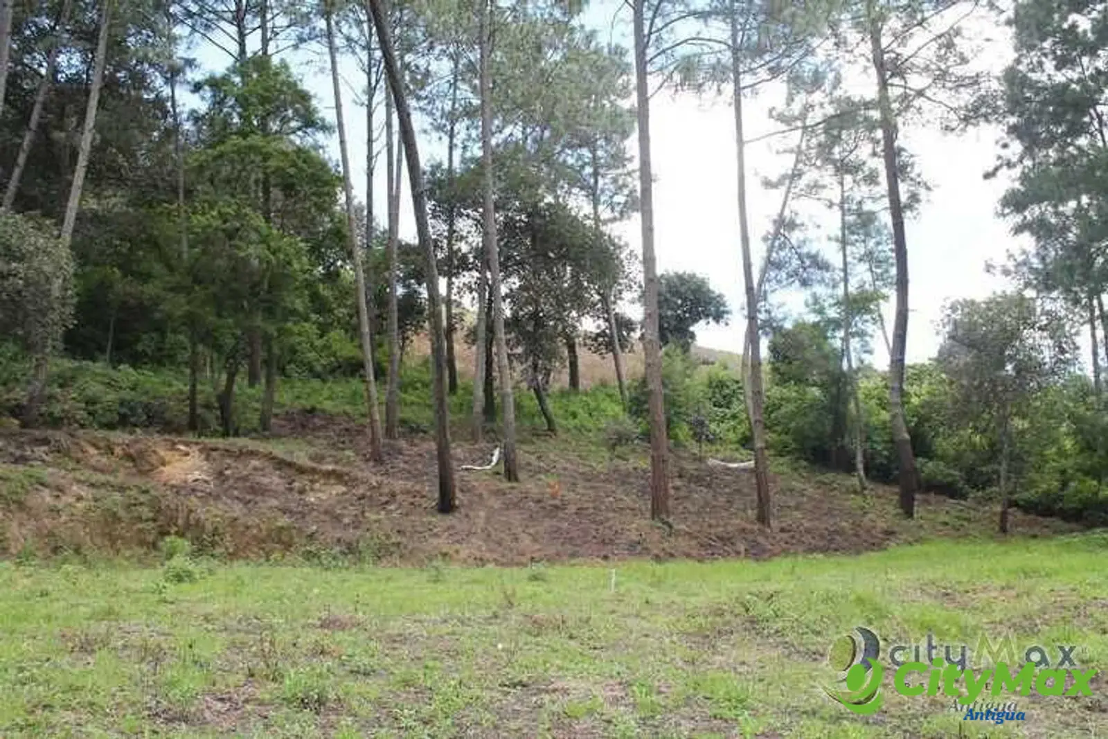 TERRENO EN VENTA EN SANTA MARIA CAUQUE - foto 7